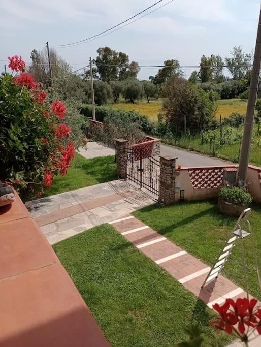 Colli Di